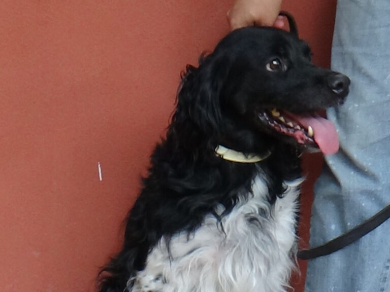 multimedia-foto39779-626-3