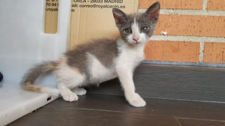 multimedia-foto39794-640-3