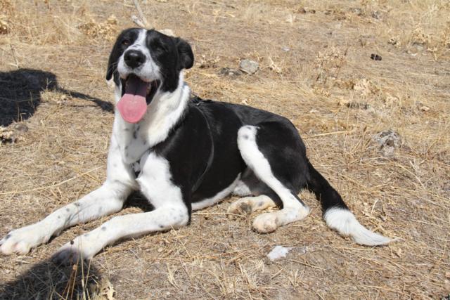 multimedia-foto39880-674-3