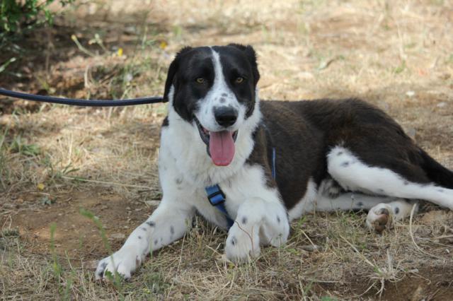 multimedia-foto39881-674-3