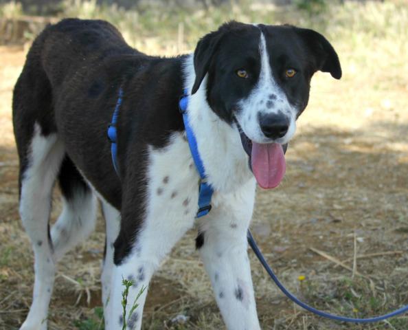 multimedia-foto39882-675-3