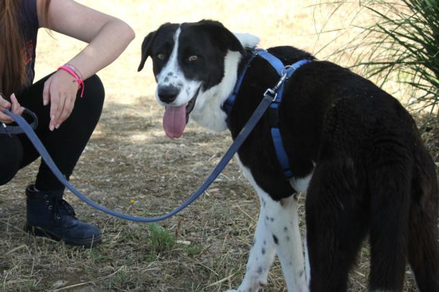 multimedia-foto39883-675-3