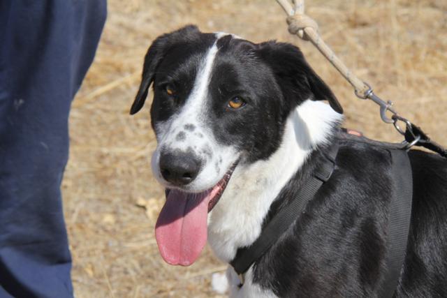 multimedia-foto39885-675-3