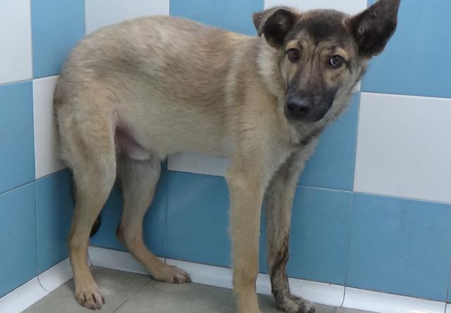 multimedia-foto39950-895-3