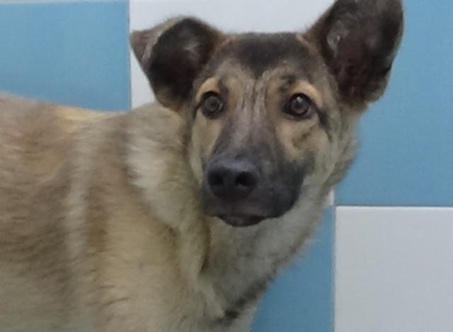 multimedia-foto39951-895-3