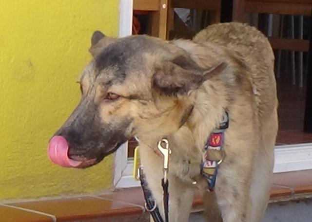 multimedia-foto39952-895-3