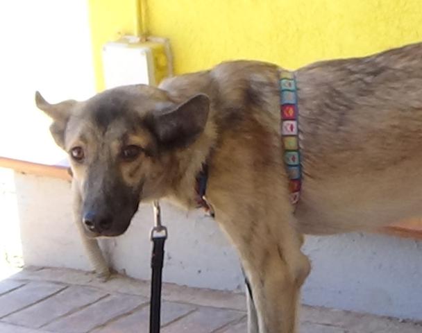 multimedia-foto39953-895-3