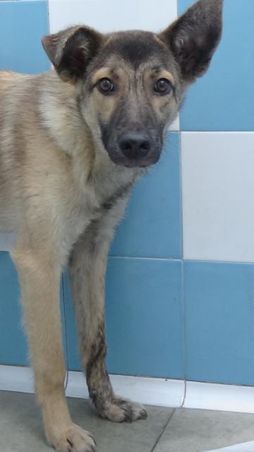 multimedia-foto39955-896-3