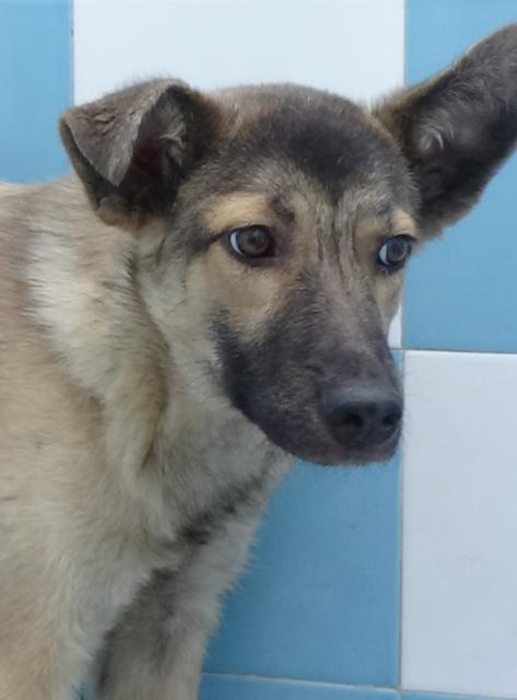 multimedia-foto39956-896-3