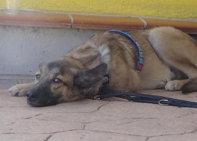 multimedia-foto39957-896-3