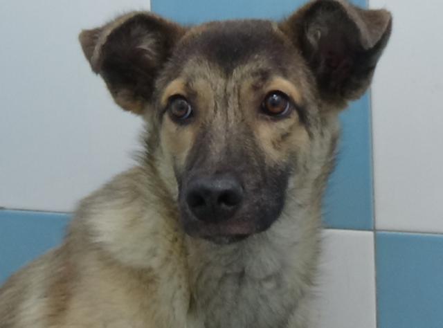 multimedia-foto39958-896-3