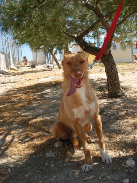 multimedia-foto39962-500-3