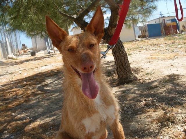 multimedia-foto39963-500-3