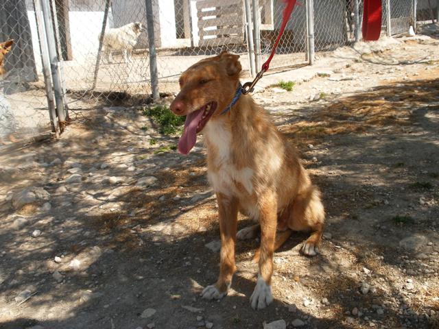 multimedia-foto39964-501-3