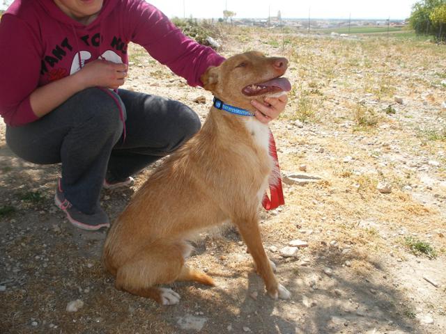 multimedia-foto39965-501-3