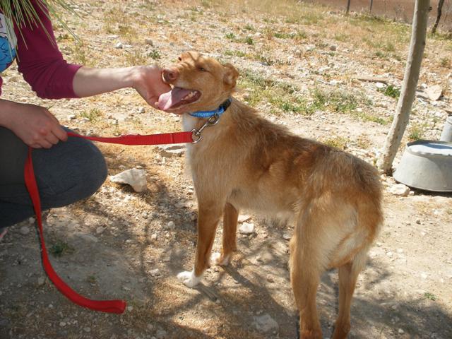 multimedia-foto39966-501-3