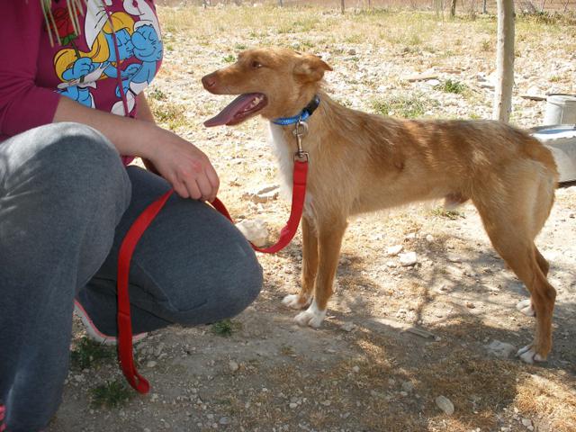 multimedia-foto39967-501-3