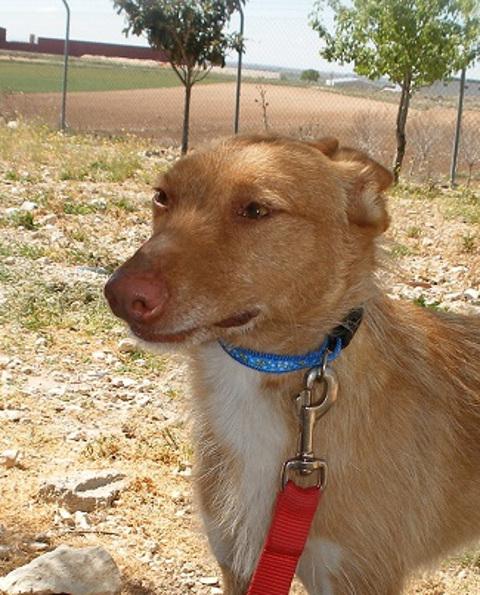 multimedia-foto39968-502-3