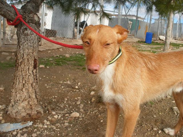 multimedia-foto39969-502-3