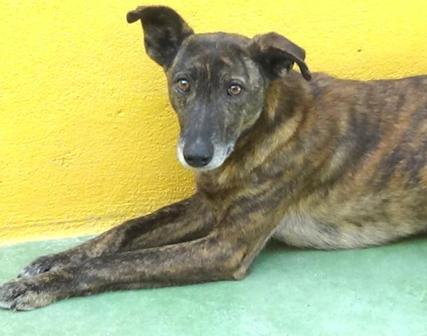 multimedia-foto39985-552-3