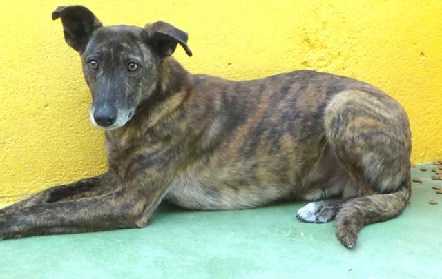 multimedia-foto39986-553-3