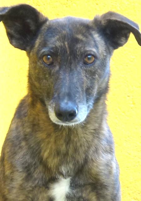 multimedia-foto39988-553-3