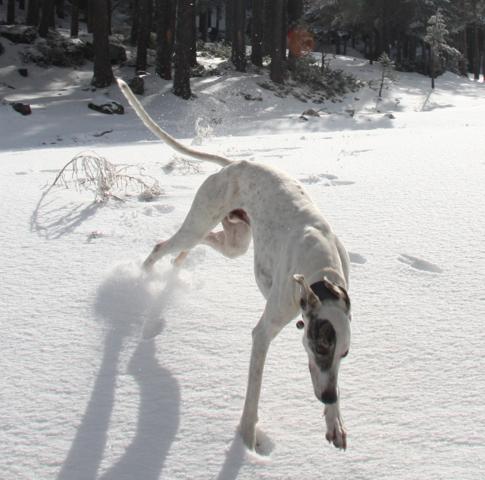 multimedia-foto39989-191-3