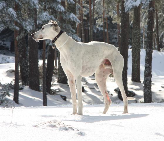 multimedia-foto39990-191-3