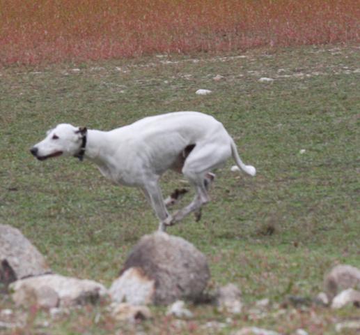 multimedia-foto39991-192-3