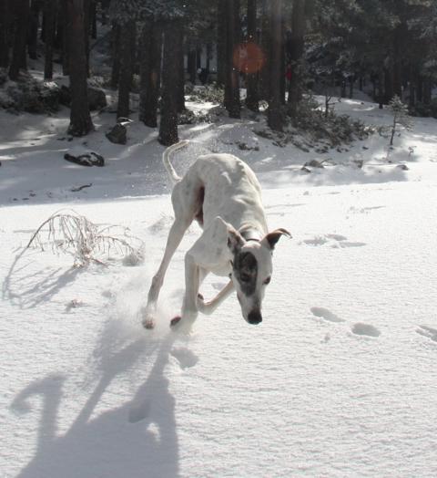 multimedia-foto39992-192-3