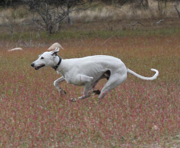 multimedia-foto39993-774-3