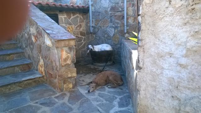 multimedia-foto39999-820-3