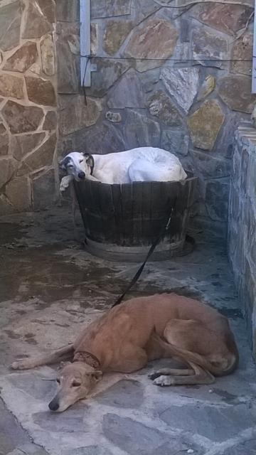 multimedia-foto40000-821-3