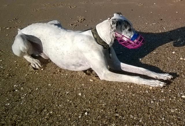 multimedia-foto40001-821-3