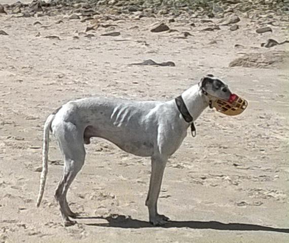 multimedia-foto40002-914-3