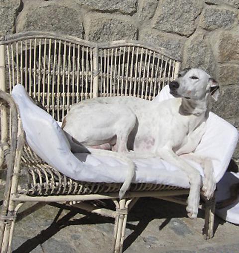 multimedia-foto40003-914-3