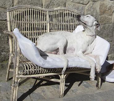 multimedia-foto40004-914-3