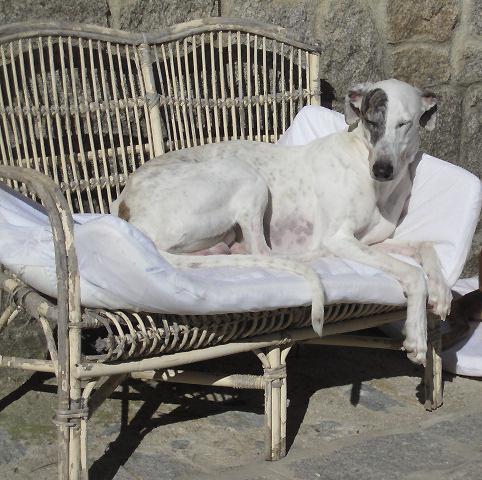 multimedia-foto40005-914-3