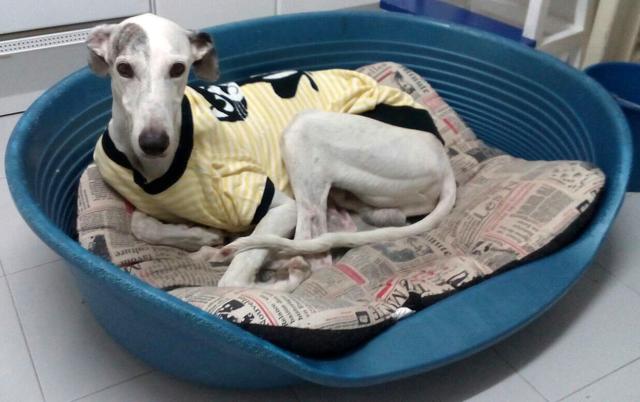 multimedia-foto40006-986-3