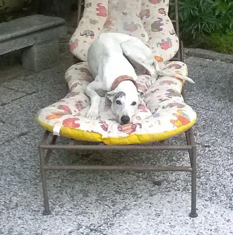 multimedia-foto40007-987-3