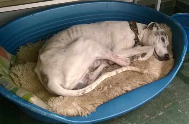 multimedia-foto40008-987-3