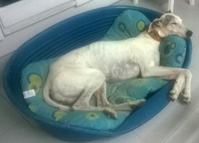 multimedia-foto40009-13-3