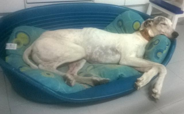 multimedia-foto40010-13-3