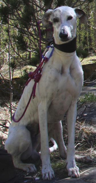 multimedia-foto40011-76-3