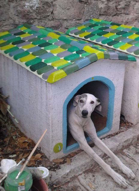 multimedia-foto40012-108-3