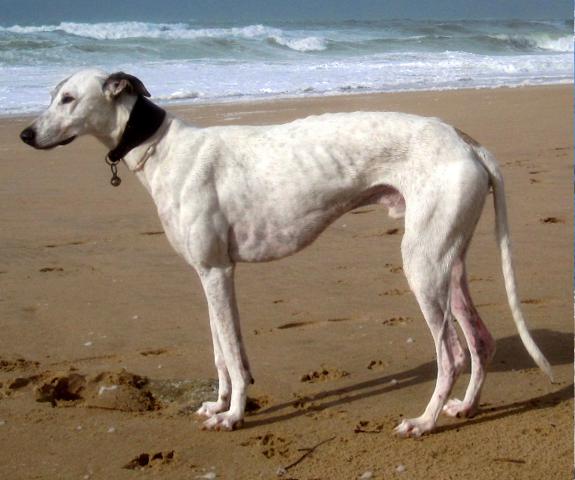 multimedia-foto40013-108-3