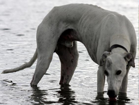 multimedia-foto40014-128-3