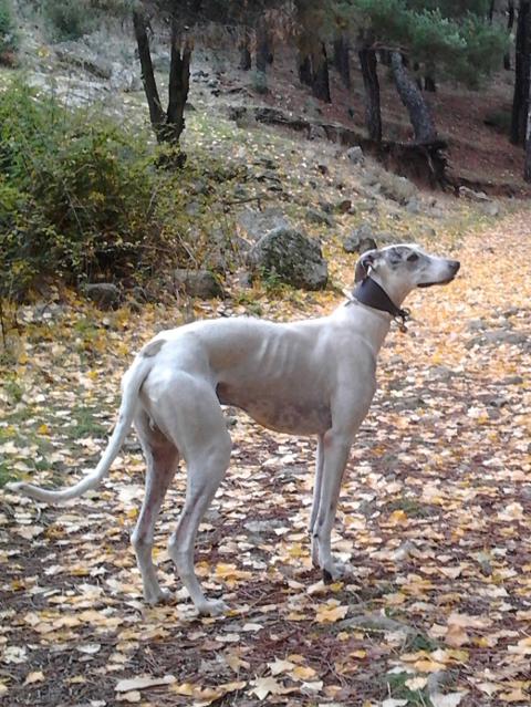 multimedia-foto40016-145-3