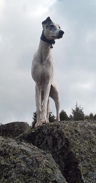 multimedia-foto40017-166-3