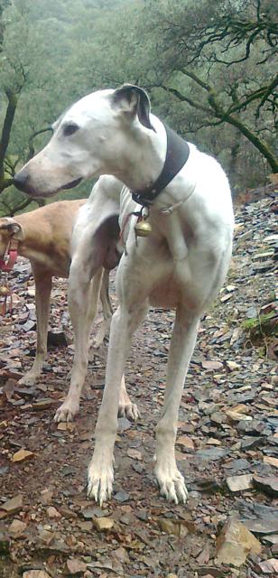 multimedia-foto40020-262-3